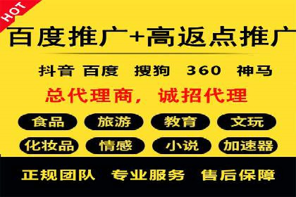 SEM代理操作技巧：成功案例揭秘